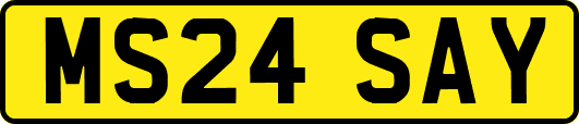 MS24SAY