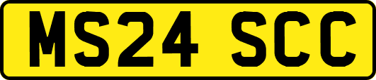 MS24SCC