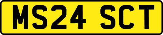 MS24SCT