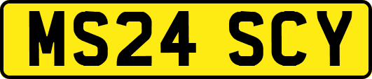 MS24SCY