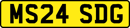 MS24SDG