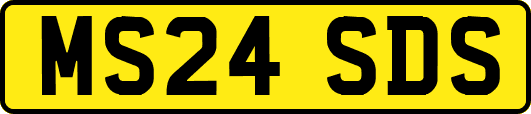 MS24SDS