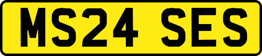 MS24SES