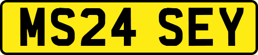 MS24SEY