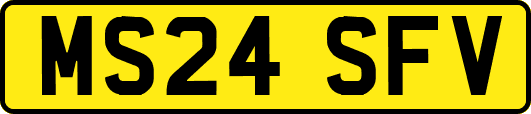 MS24SFV