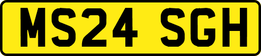 MS24SGH