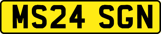 MS24SGN