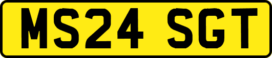 MS24SGT