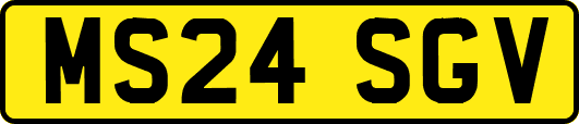MS24SGV