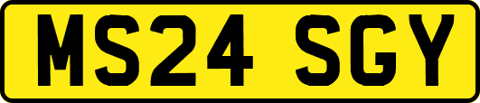 MS24SGY