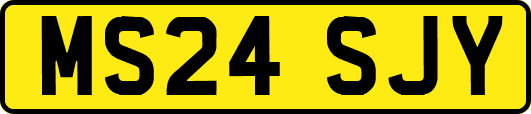 MS24SJY