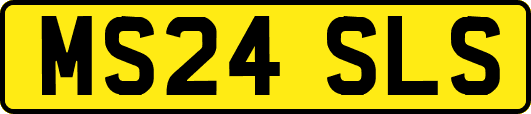 MS24SLS