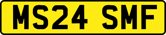 MS24SMF