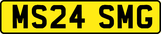 MS24SMG