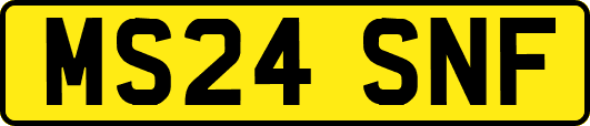 MS24SNF