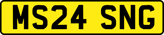 MS24SNG