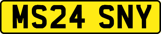 MS24SNY