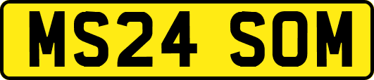 MS24SOM