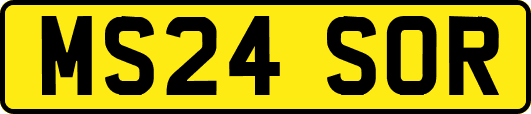 MS24SOR