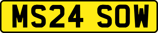 MS24SOW