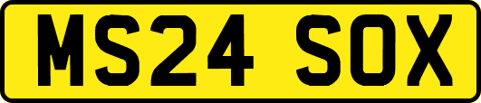MS24SOX
