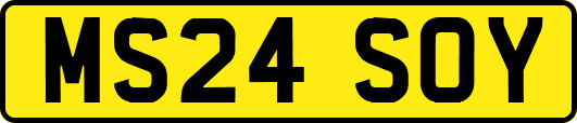 MS24SOY