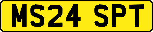 MS24SPT