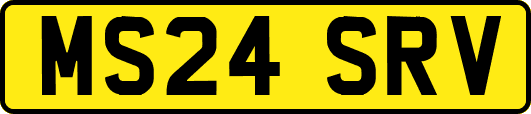 MS24SRV