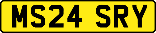 MS24SRY