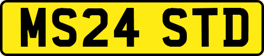 MS24STD