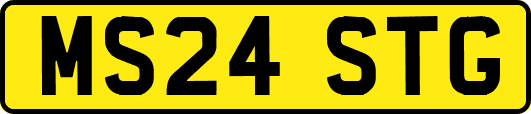 MS24STG