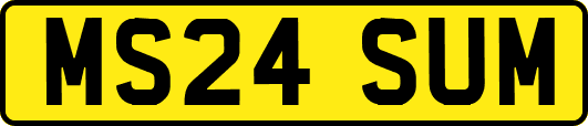 MS24SUM