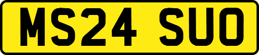 MS24SUO