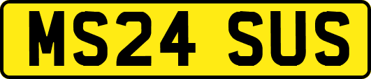 MS24SUS
