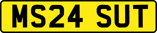 MS24SUT