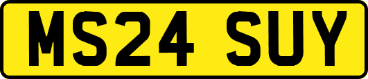 MS24SUY
