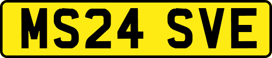 MS24SVE