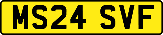 MS24SVF