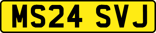 MS24SVJ