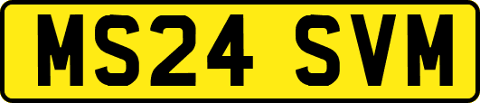 MS24SVM