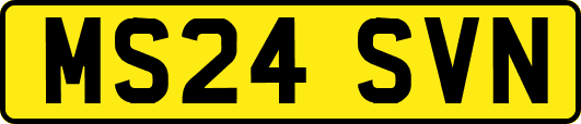 MS24SVN