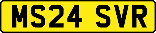 MS24SVR