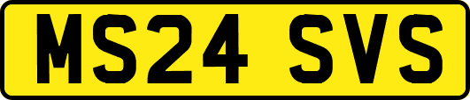 MS24SVS