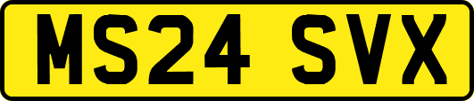 MS24SVX