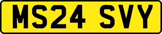 MS24SVY