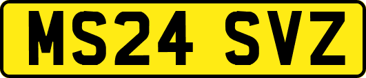 MS24SVZ