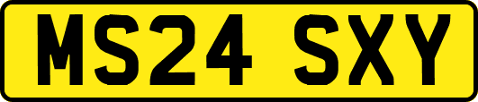 MS24SXY