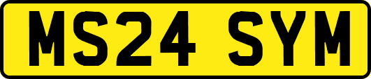 MS24SYM