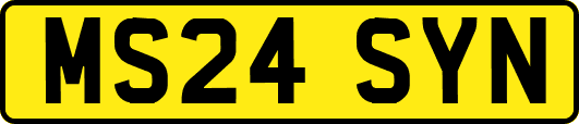 MS24SYN