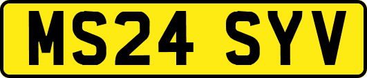 MS24SYV